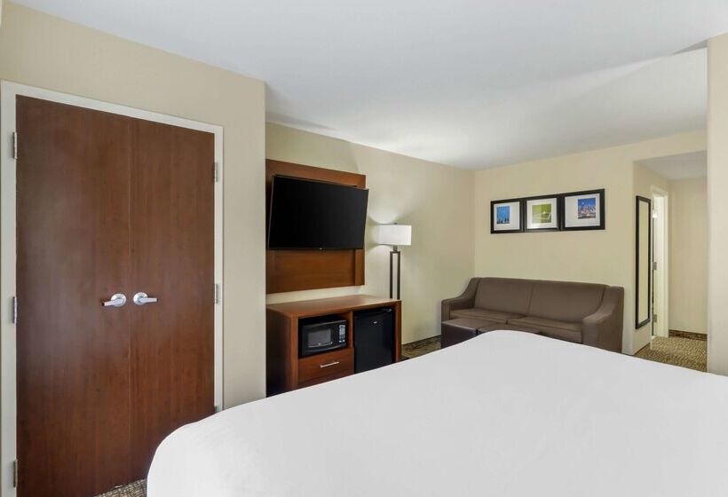 فندق Comfort Suites At Kennesaw State University