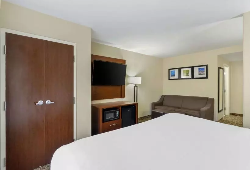Hotelli Comfort Suites At Kennesaw State University