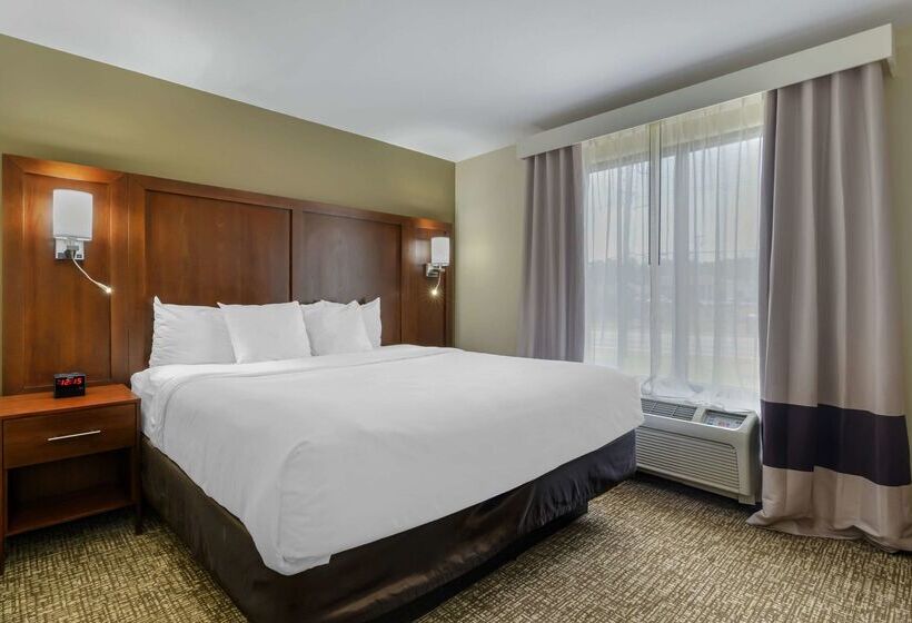 فندق Comfort Suites At Kennesaw State University