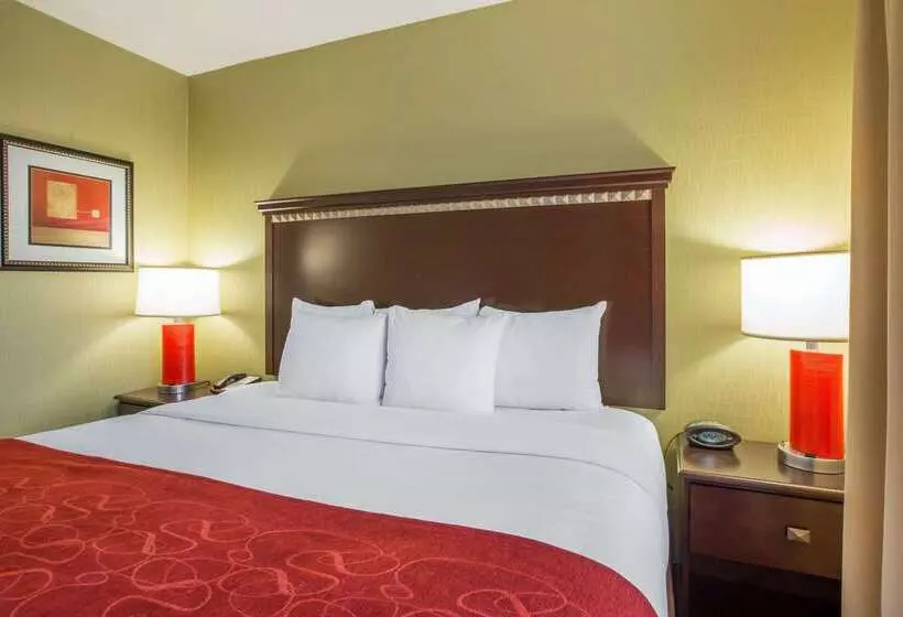 호텔 Comfort Suites Locust Grove Atlanta South