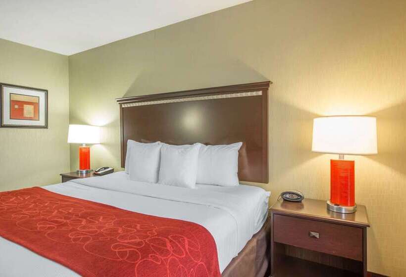 호텔 Comfort Suites Locust Grove Atlanta South