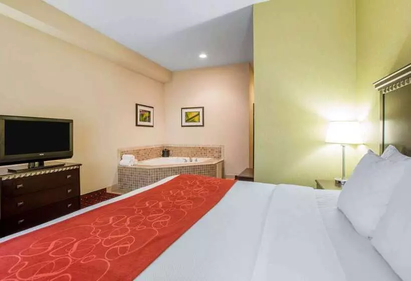 호텔 Comfort Suites Locust Grove Atlanta South