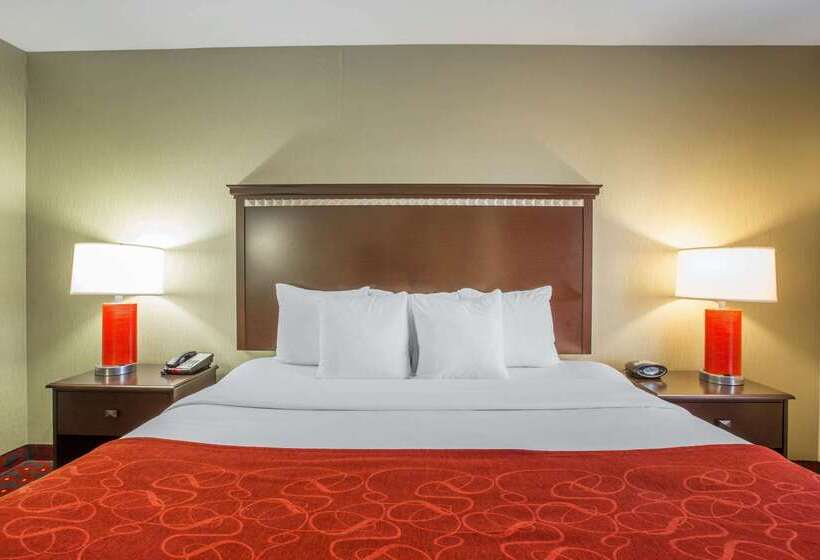 호텔 Comfort Suites Locust Grove Atlanta South