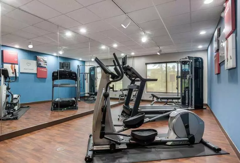 ホテル Comfort Suites Speedway  Kansas City