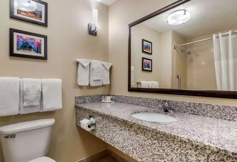 ホテル Comfort Suites Speedway  Kansas City