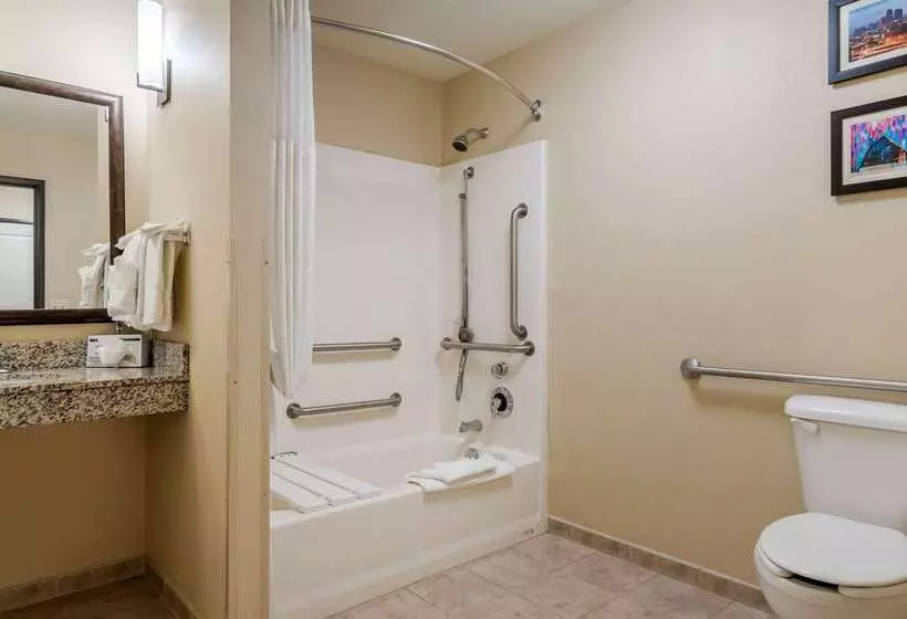 ホテル Comfort Suites Speedway  Kansas City