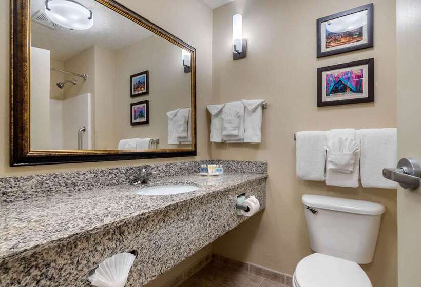 호텔 Comfort Suites Speedway  Kansas City