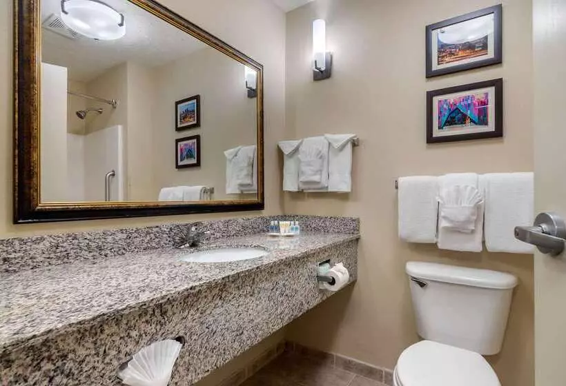 ホテル Comfort Suites Speedway  Kansas City