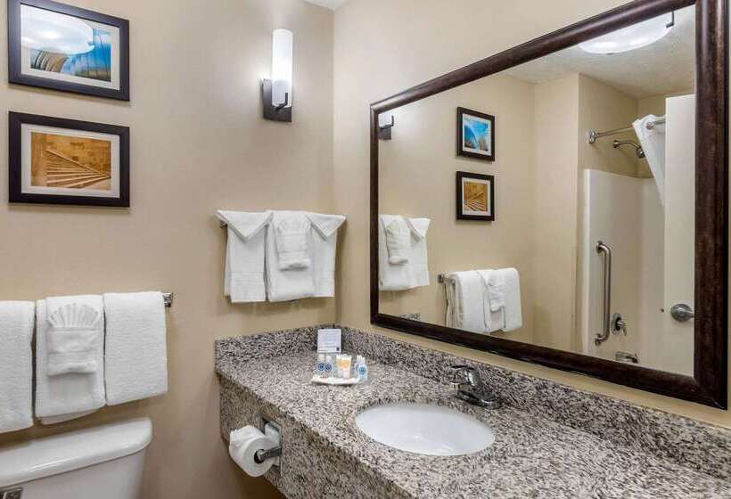 호텔 Comfort Suites Speedway  Kansas City