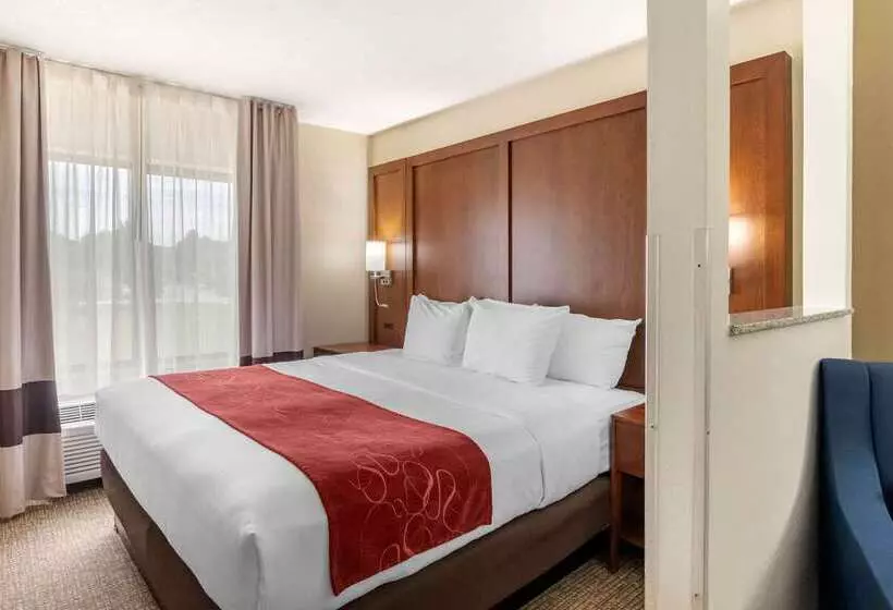 ホテル Comfort Suites Speedway  Kansas City
