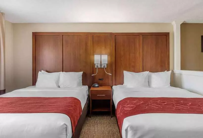 ホテル Comfort Suites Speedway  Kansas City