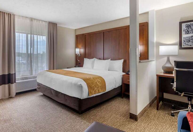 호텔 Comfort Suites Speedway  Kansas City