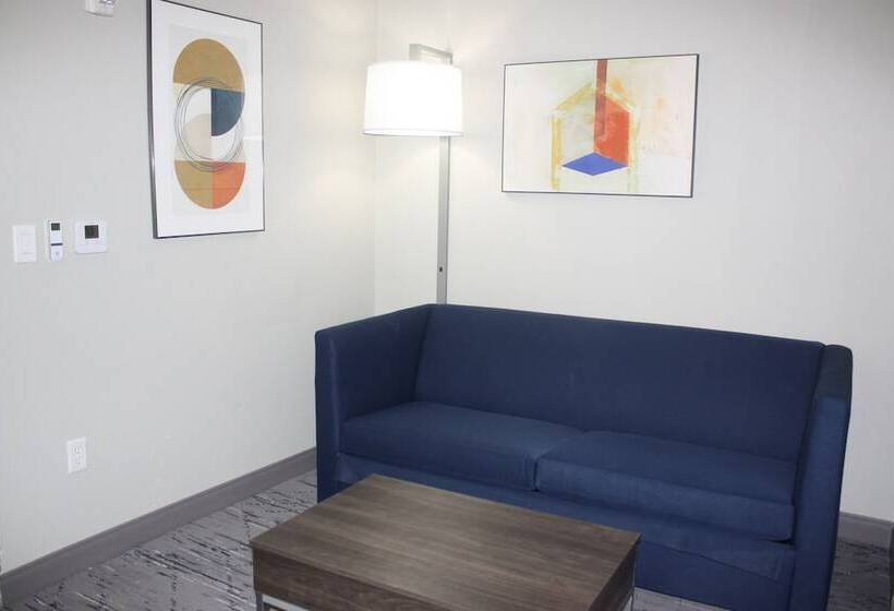 Holiday Inn Express Hotel & Suites Shamrock North By Ihg