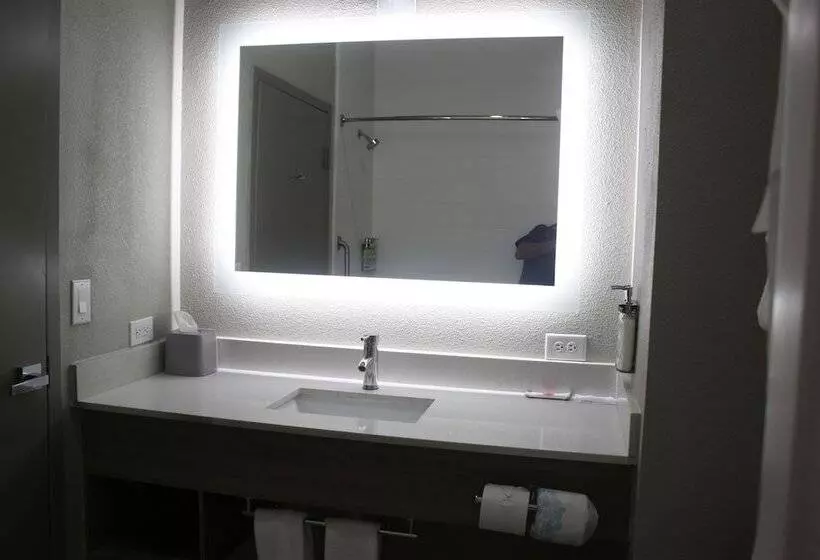 Holiday Inn Express Hotel & Suites Shamrock North By Ihg