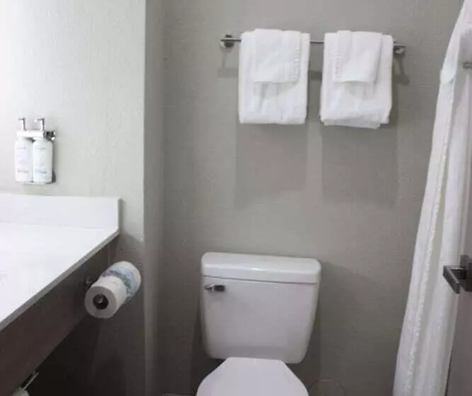 Holiday Inn Express Hotel & Suites Shamrock North By Ihg