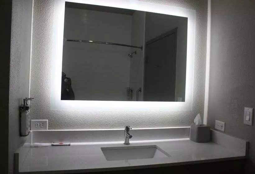 Holiday Inn Express Hotel & Suites Shamrock North By Ihg