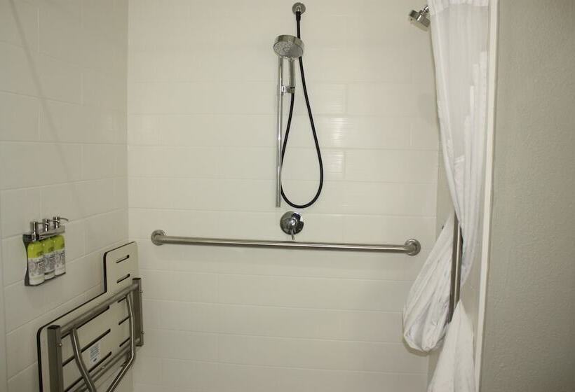 Holiday Inn Express Hotel & Suites Shamrock North By Ihg