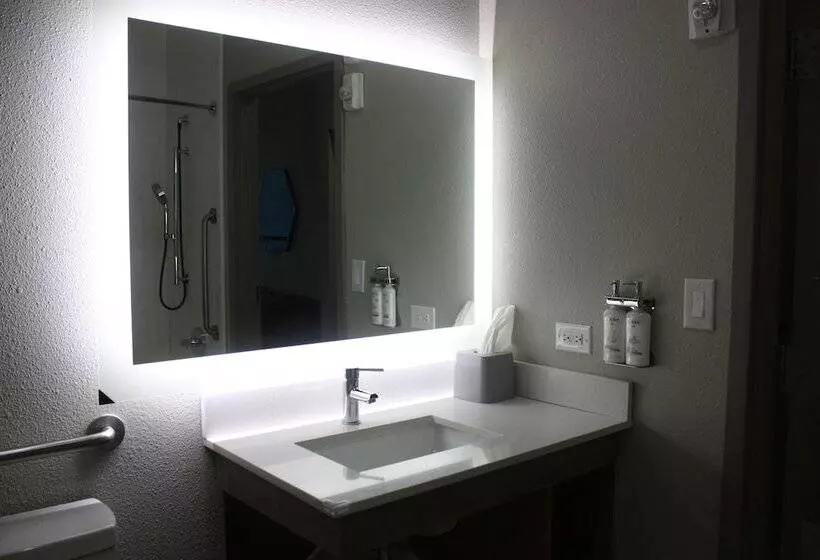 Holiday Inn Express Hotel & Suites Shamrock North By Ihg