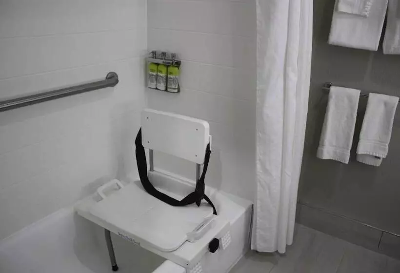 Holiday Inn Express Hotel & Suites Shamrock North By Ihg