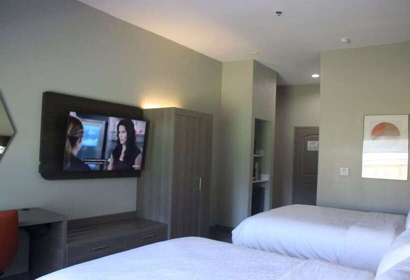 Holiday Inn Express Hotel & Suites Shamrock North By Ihg