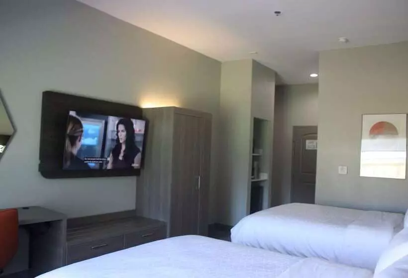 Holiday Inn Express Hotel & Suites Shamrock North By Ihg