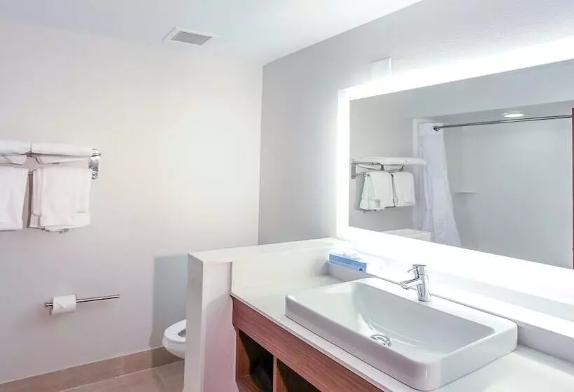 Hotel Holiday Inn Express Daytona Beach   Speedway, An Ihg