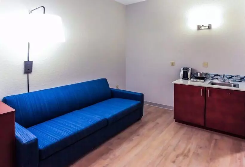 Hotel Holiday Inn Express Daytona Beach   Speedway, An Ihg