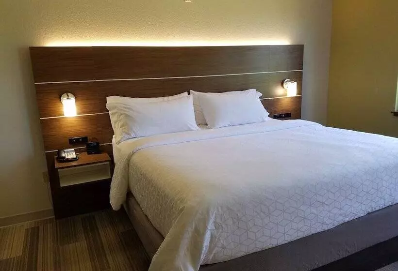 Hotel Holiday Inn Express Daytona Beach   Speedway, An Ihg