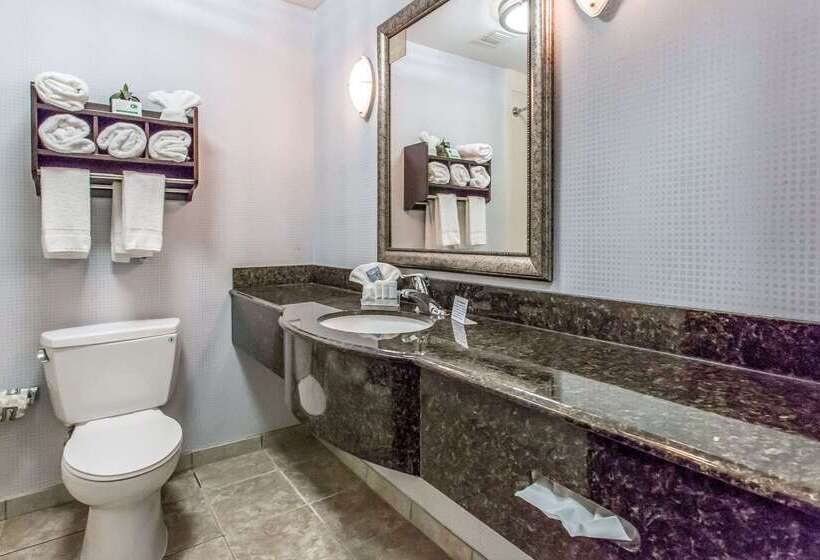 Отель Sleep Inn & Suites West Medical Center