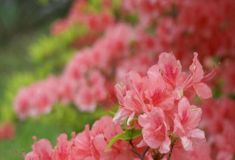 호텔 Tateshina Tokyu