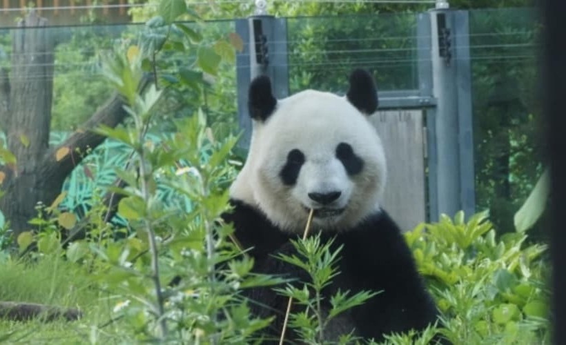 فندق Tokyu Stay Shibuya