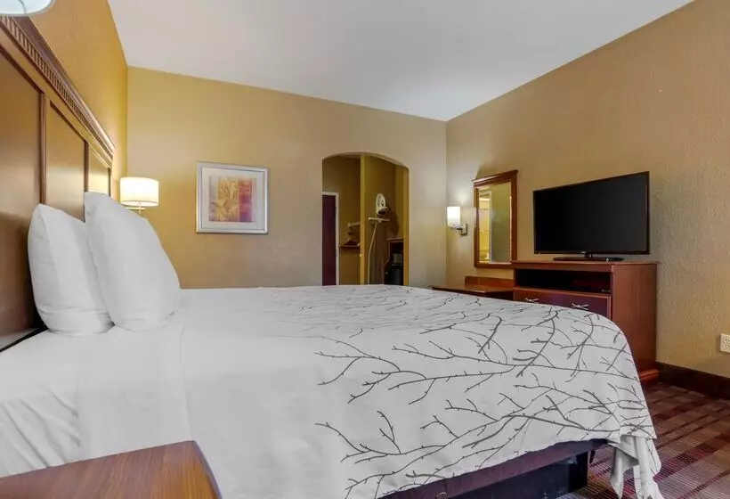 酒店 Best Western Plaquemine Inn