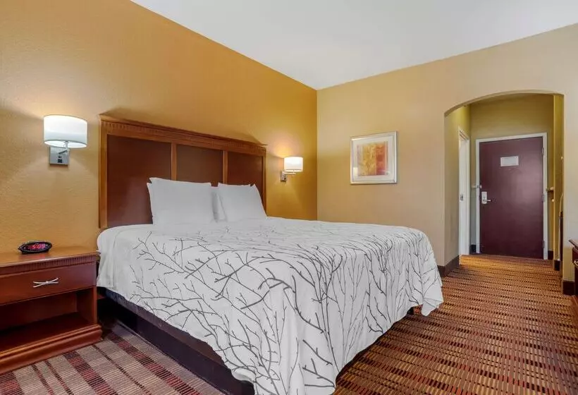 酒店 Best Western Plaquemine Inn