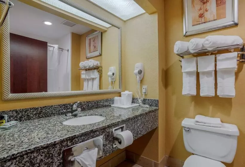 酒店 Best Western Plaquemine Inn