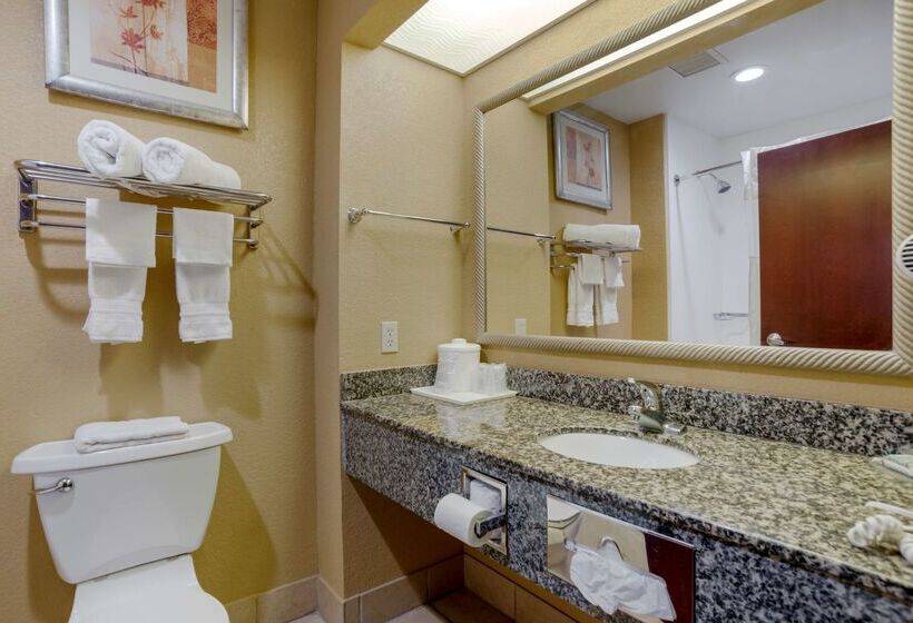 酒店 Best Western Plaquemine Inn