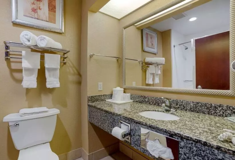 酒店 Best Western Plaquemine Inn