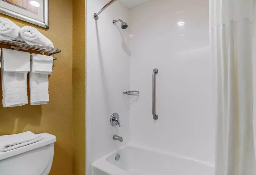 酒店 Best Western Plaquemine Inn