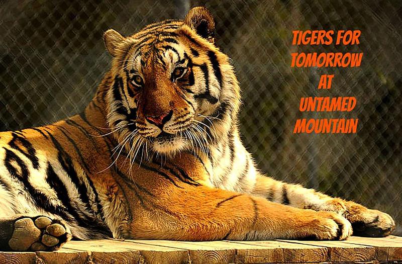 Best Western Plus Gadsden Hotel & Suites