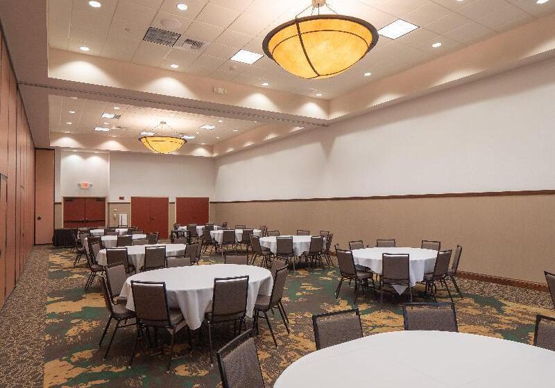 酒店 Holiday Inn Stevens Point Convention Center, An Ihg