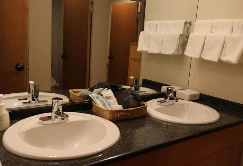 호텔 Naspa New Otani