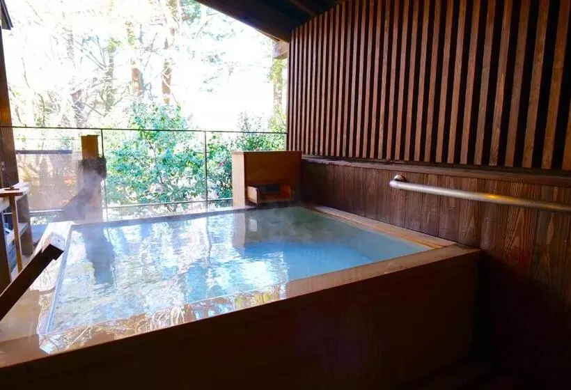 هتل Nikko Hoshinoyado