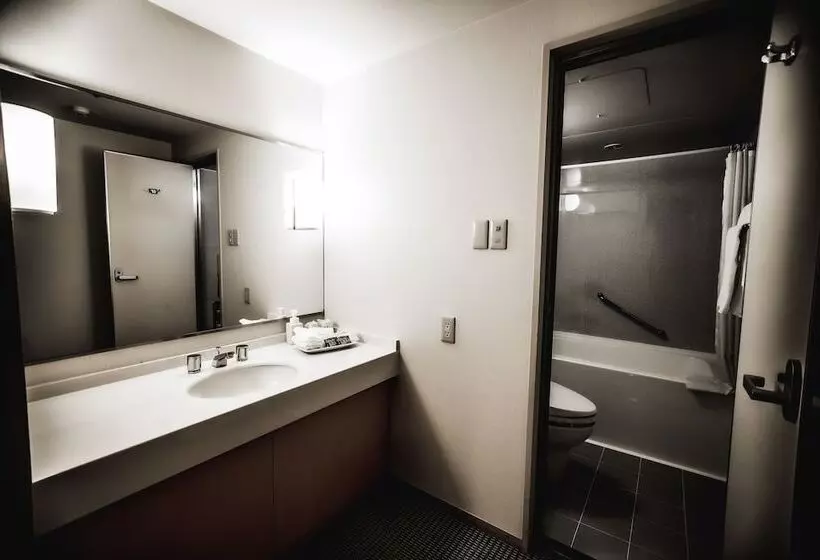 Oarks Canal Park Hotel Toyama