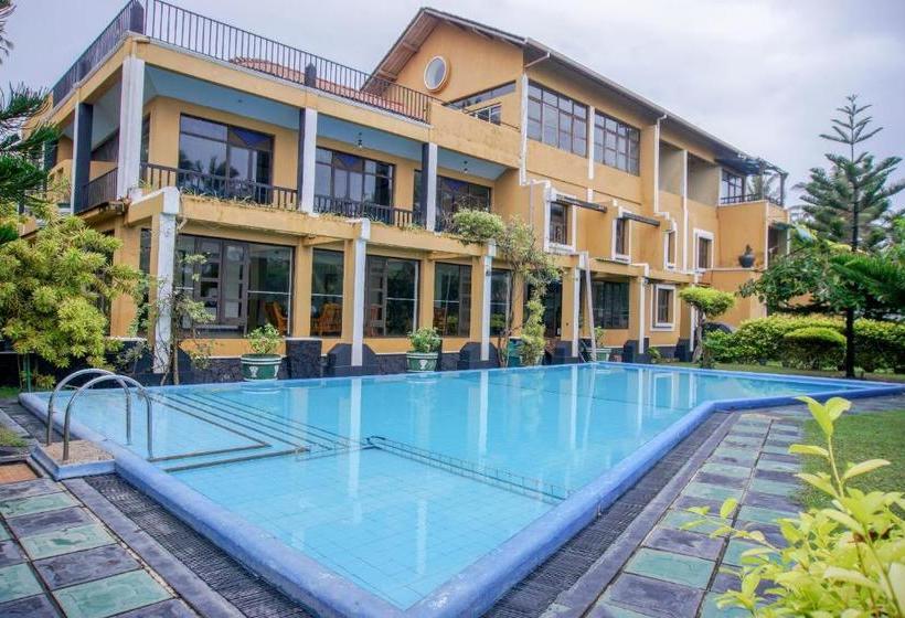 Отель Ocean Dreams