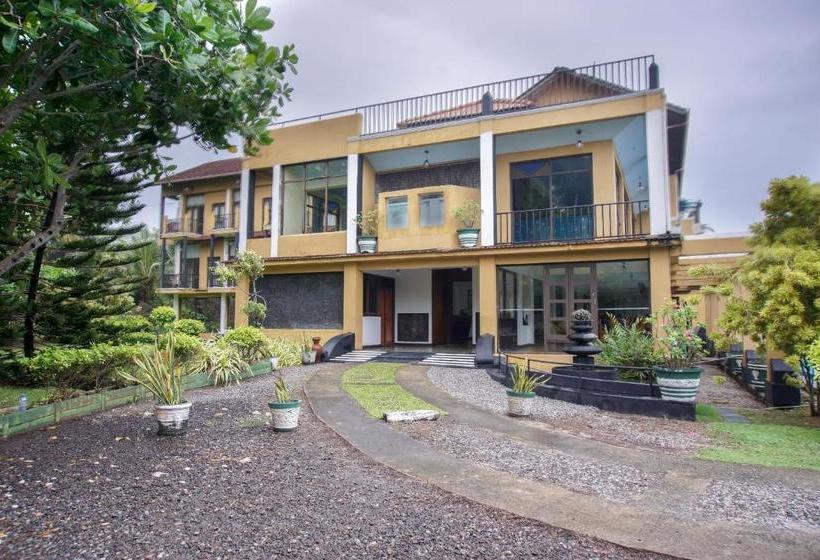 Отель Ocean Dreams