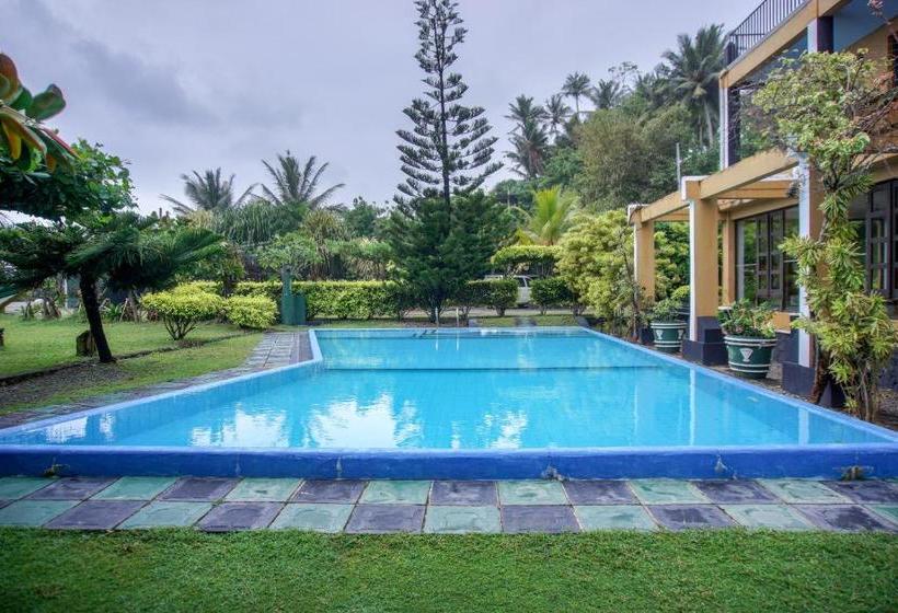 Отель Ocean Dreams