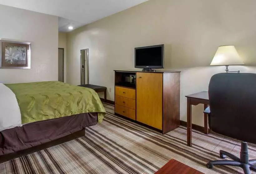 Отель Quality Inn I81 Exit 23