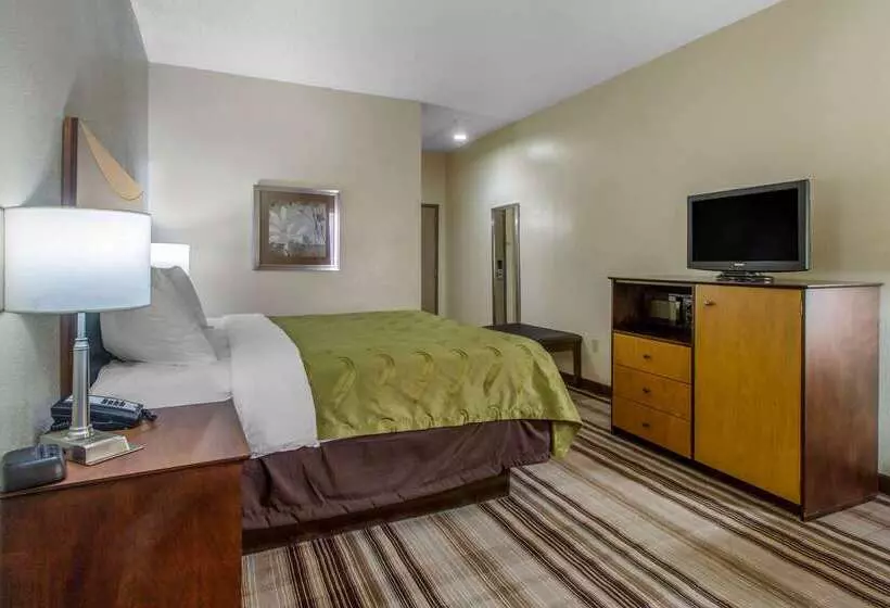 Отель Quality Inn I81 Exit 23