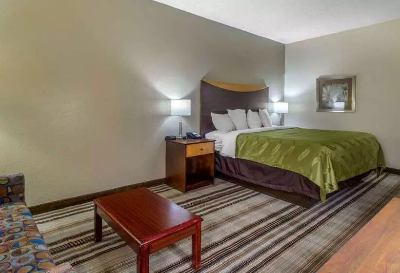 Отель Quality Inn I81 Exit 23