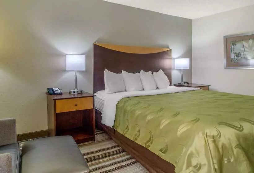 Отель Quality Inn I81 Exit 23