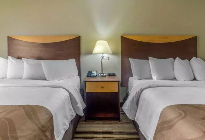 Отель Quality Inn I81 Exit 23